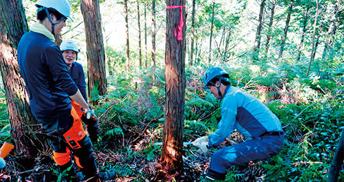 【契約更新】「環境先進企業との協働の森づくり事業」高知県および四万十市とのパートナーズ協定